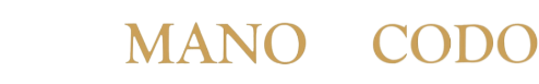 logo de website movil